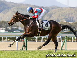 カラープリント(アルミ枠なし)2021年2月13日小倉5R 4歳以上障害未勝利(パシージョ)