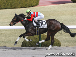 カラーパネル2021年2月14日阪神3R 3歳未勝利(タマモヒメギミ)