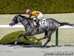 カラーパネル2021年2月14日阪神6R 4歳以上1勝クラス(フラミンゴフライト)