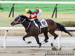 カラーパネル2021年2月14日小倉7R 4歳以上1勝クラス(オーヴァーネクサス)