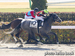 カラーパネル2021年2月14日東京2R 3歳新馬(エスジープリンセス)
