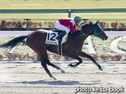 カラープリント(アルミ枠付き)2021年2月14日東京4R 3歳1勝クラス(グランツアーテム)