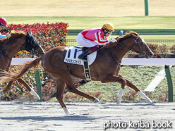 カラープリント(アルミ枠付き)2021年2月14日東京6R 4歳以上1勝クラス(アメリカンフェイス)