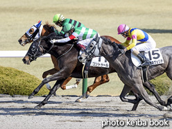 カラープリント(アルミ枠付き)2021年2月20日阪神1R 3歳未勝利(コントゥール)