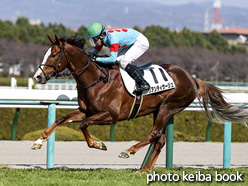 カラープリント(アルミ枠付き)2021年2月20日阪神7R 4歳以上1勝クラス(リアンティサージュ)