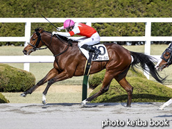 カラープリント(アルミ枠付き)2021年2月20日阪神8R 4歳以上1勝クラス(スワーヴシールズ)