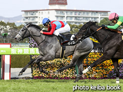 カラーパネル2021年2月20日阪神9R つばき賞(ヴィゴーレ)