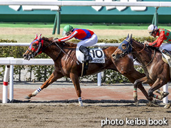 カラープリント(アルミ枠付き)2021年2月20日小倉3R 3歳未勝利(トーホウスザク)