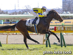 カラーパネル2021年2月20日東京5R 3歳未勝利(トゥーフェイス)