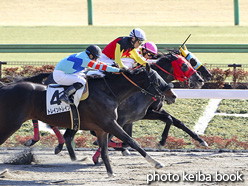 カラーパネル2021年2月20日東京8R 4歳以上2勝クラス(モルタル)