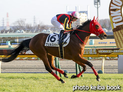 カラープリント(アルミ枠付き)2021年2月20日東京12R 4歳以上2勝クラス(ヴェルスパー)