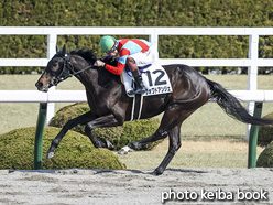 カラーパネル2021年2月21日阪神2R 3歳未勝利(ヴォワドアンジェ)