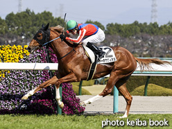 カラープリント(アルミ枠なし)2021年2月21日阪神5R 3歳未勝利(トーホウディアス)