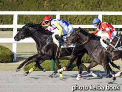 カラープリント(アルミ枠なし)2021年2月21日阪神12R 4歳以上1勝クラス(タイガーサイレンス)