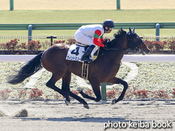 カラープリント(アルミ枠付き)2021年2月21日東京3R 3歳新馬(ヴィントミューレ)