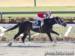 カラーパネル2021年2月21日東京6R 4歳以上1勝クラス(レジリエンスブルー)