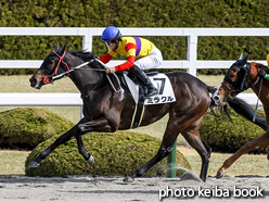 カラーパネル2021年2月27日阪神1R 3歳未勝利(ミラクル)