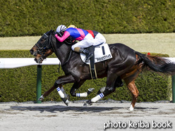 カラーパネル2021年2月27日阪神4R 3歳未勝利(メイショウアツイタ)