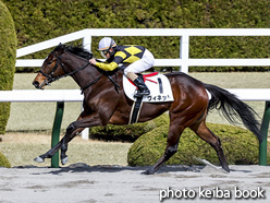 カラープリント(アルミ枠なし)2021年2月27日阪神6R 4歳以上1勝クラス(ヴィネット)