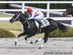 カラープリント(アルミ枠なし)2021年2月28日阪神2R 3歳未勝利(ミッキークイック)