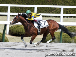 カラープリント(アルミ枠付き)2021年2月28日阪神3R 3歳未勝利(リヴェット)