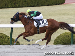 カラーパネル2021年2月28日阪神12R 4歳以上2勝クラス(トップオブメジャー)