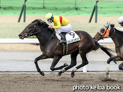 カラープリント(アルミ枠なし)2021年2月28日小倉1R 3歳未勝利(コパノピッチング)