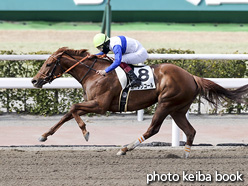 カラーパネル2021年2月28日小倉3R 4歳以上1勝クラス(カーテンコール)