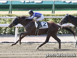 カラープリント(アルミ枠付き)2021年2月28日小倉7R 4歳以上1勝クラス(グッドリドゥンス)