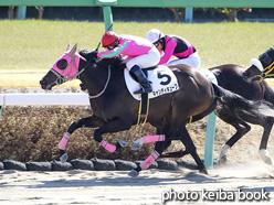 カラープリント(アルミ枠なし)2021年2月28日中山2R 3歳未勝利(キャンディキューブ)