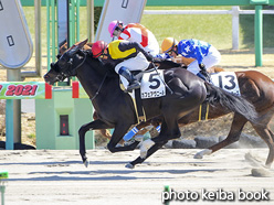 カラーパネル2021年2月28日中山4R 3歳未勝利(カフェアヴニール)