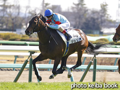 カラープリント(アルミ枠付き)2021年2月28日中山6R 3歳1勝クラス(ジュリオ)