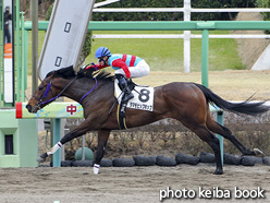 カラープリント(アルミ枠なし)2021年3月6日中山3R 3歳未勝利(タマモヒップホップ)