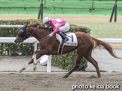 カラーパネル2021年3月7日小倉9R 4歳以上1勝クラス(ワンダーシエンプロ)