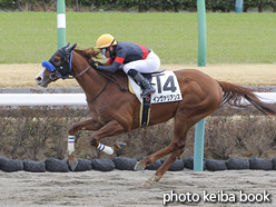 カラープリント(アルミ枠付き)2021年3月7日中山4R 3歳未勝利(インヴァリアンス)