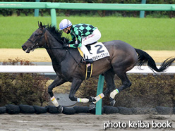 カラープリント(アルミ枠付き)2021年3月13日中山1R 3歳未勝利(ジンジャーブラッド)