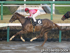 カラーパネル2021年3月13日中山9R 鎌ケ谷特別(アメリカンフェイス)