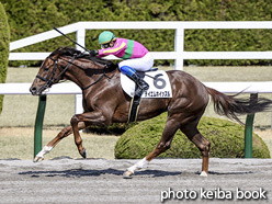 カラープリント(アルミ枠付き)2021年3月14日阪神6R 4歳以上1勝クラス(テイエムホイッスル)