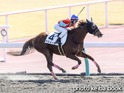 カラーパネル2021年3月14日中京2R 3歳未勝利(アクイール)