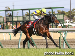 カラープリント(アルミ枠付き)2021年3月14日中京11R 金鯱賞(ギベオン)