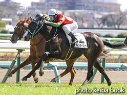 カラーパネル2021年3月14日中山5R 3歳未勝利(アインゲーブング)