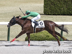 カラーパネル2021年3月20日阪神2R 3歳未勝利(アナゴサン)