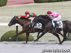 カラーパネル2021年3月20日阪神3R 3歳未勝利(スカリーワグ)