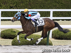 カラーパネル2021年3月20日阪神6R 3歳1勝クラス(ウェルドーン)