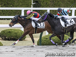 カラープリント(アルミ枠付き)2021年3月20日阪神7R 4歳以上1勝クラス(カイルアコナ)