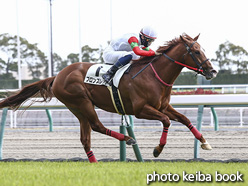 カラープリント(アルミ枠付き)2021年3月20日中京5R 3歳未勝利(ブロンズレッド)