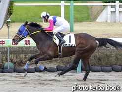 カラープリント(アルミ枠付き)2021年3月20日中山7R 4歳以上1勝クラス(トウカイオルデン)