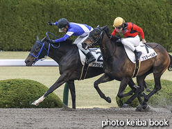 カラーパネル2021年3月21日阪神1R 3歳未勝利(アサケレディ)