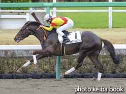 カラープリント(アルミ枠なし)2021年3月21日中山3R 3歳未勝利(ジャスティンスター)