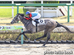 カラーパネル2021年3月27日中山1R 3歳未勝利(クロフネミッション)